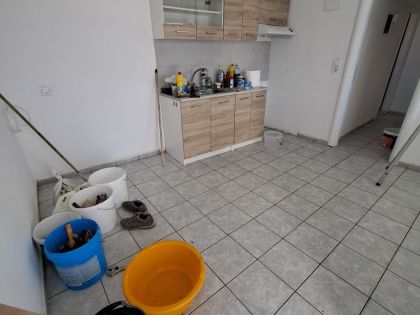 ΔΕΙΛΙΝΑ