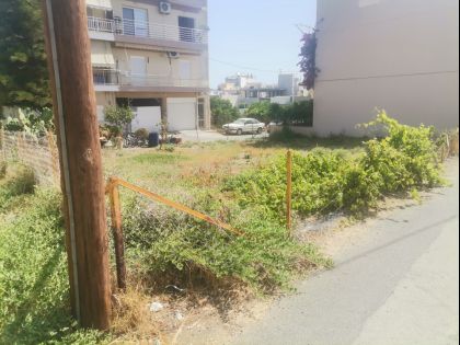 ΑΤΣΑΛΕΝΙΟ
