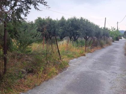 αγγελία