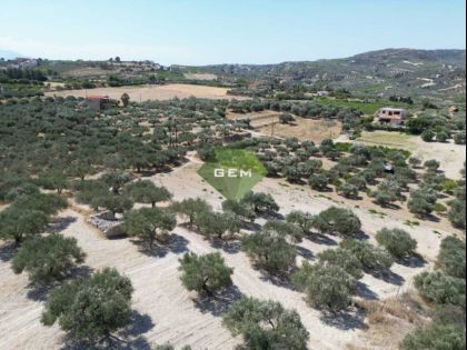 αγγελία