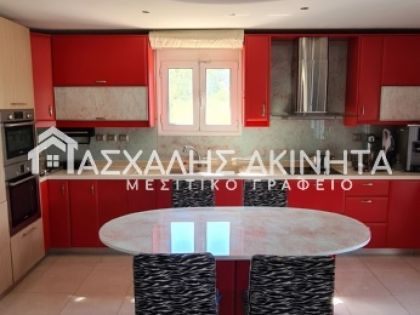 ΜΕΣΑ ΛΑΚΚΩΝΙΑ