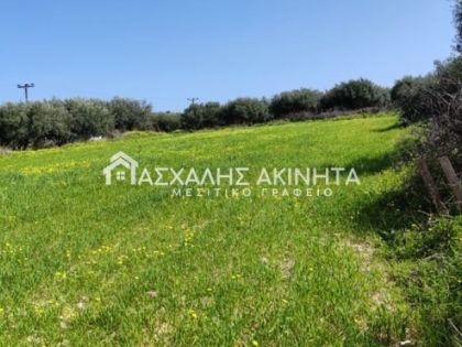 ΑΓΙΟΙ ΘΕΟΔΩΡΟΙ