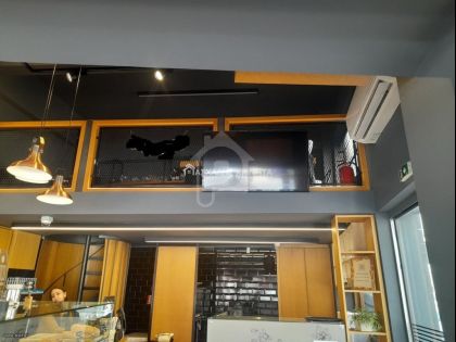 ΤΡΙΑ ΠΕΥΚΑ