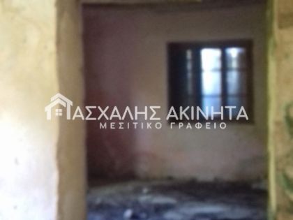 ΜΥΡΤΙΑ