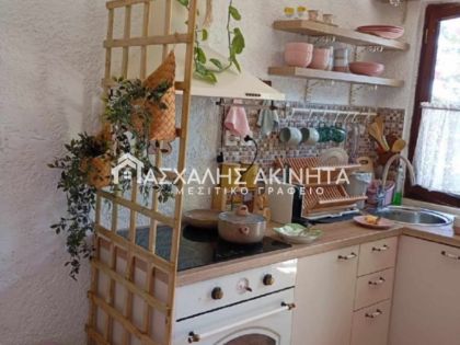ΑΡΧΟΝΤΙΚΟ