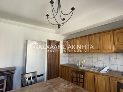 ΖΑΡΟΣ