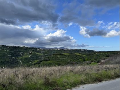 αγγελία