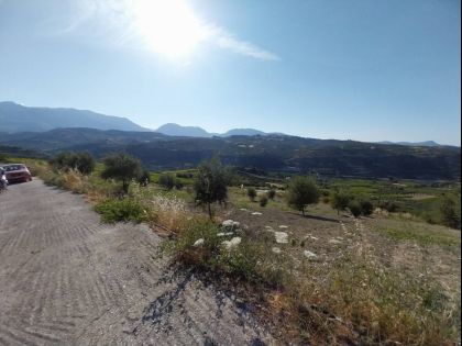 αγγελία