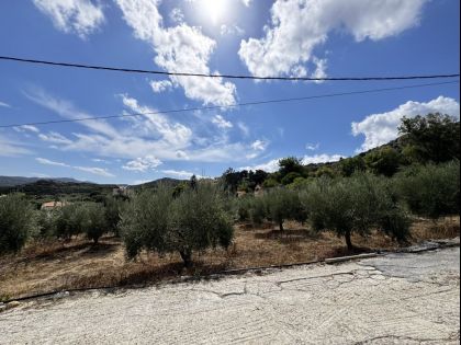 αγγελία