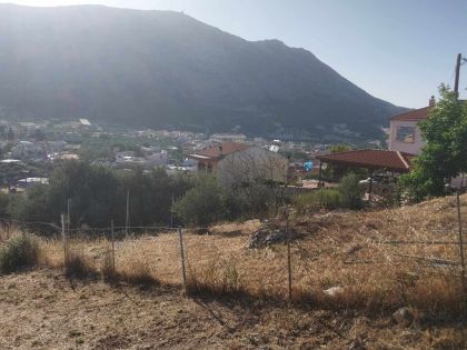 ΑΡΧΑΝΕΣ ΑΝΩ 