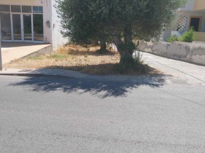 αγγελία