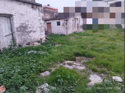 αγγελία