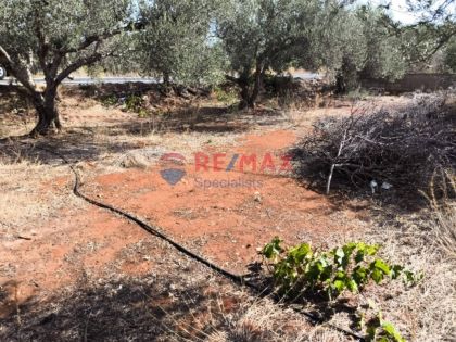 ΑΡΩΝΙ ΧΑΝΙΩΝ: