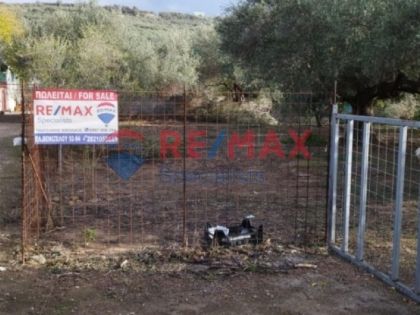 αγγελία