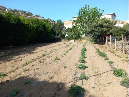 ΠΑΛΑΙΟΚΑΣΤΡΟ