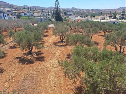 ΚΟΚΚΙΝΗ ΧΑΝΙ