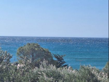 ΚΕΡΑΤΟΚΑΜΠΟΣ