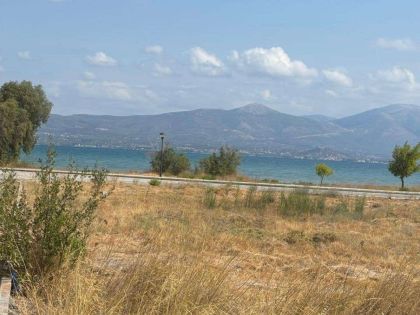 ΑΤΤΙΚΗ