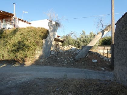 ΑΤΤΙΚΗ
