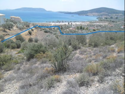 ΑΡΓΟΛΙΔΑ