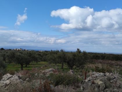 ΚΕΝΤΡΟ