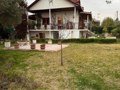 ΑΤΤΙΚΗ