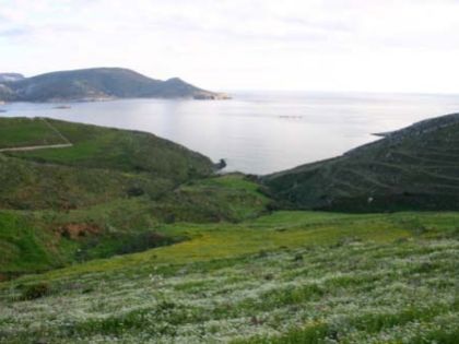 ΔΩΔΕΚΑΝΗΣΑ