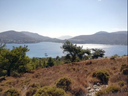 ΔΩΔΕΚΑΝΗΣΑ