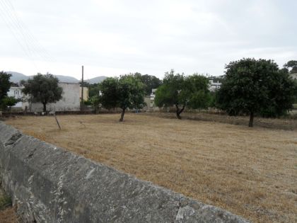 ΔΩΔΕΚΑΝΗΣΑ