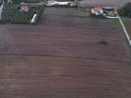 ΧΑΛΚΙΔΙΚΗ