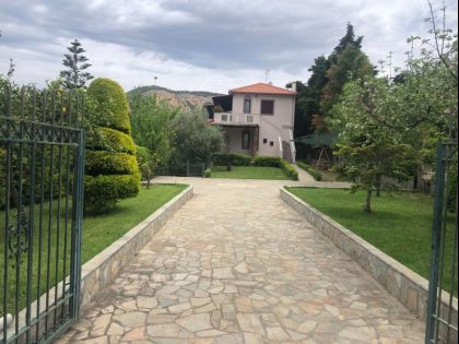 ΑΤΤΙΚΗ
