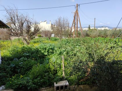 ΤΣΑΛΙΚΑΚΙ
