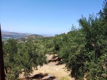 ΑΓΙΟΣ ΣΥΛΛΑΣ