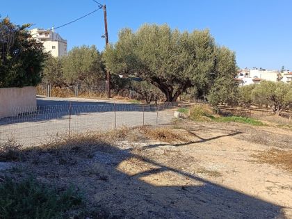 ΜΕΣΑΜΠΕΛΙΕΣ 