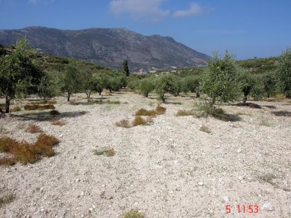 ΑΡΧΑΝΕΣ ΑΝΩ 