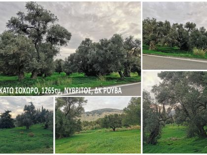 ΝΥΒΡΙΤΟΣ