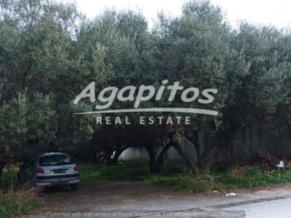 αγγελία