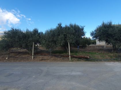 ΑΥΓΕΝΙΚΗ