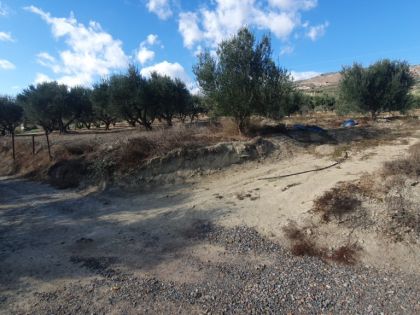 ΑΥΓΕΝΙΚΗ