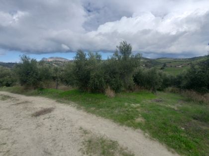 ΠΡΟΦΗΤΗΣ ΗΛΙΑΣ