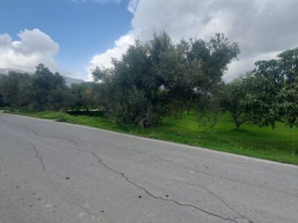ΠΕΤΡΟΚΕΦΑΛΟ