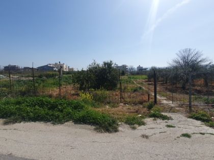 ΚΑΠΠΑΡΙΑΝΑ