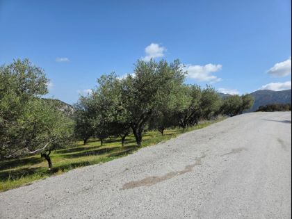 ΠΡΟΦΗΤΗΣ ΗΛΙΑΣ