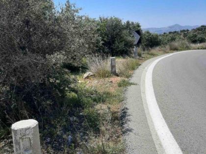 ΜΟΥΛΙΑ ΑΝΩ