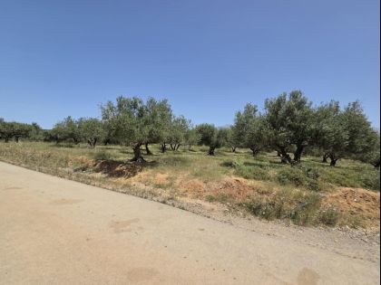 ΡΟΥΣΣΟΧΩΡΙΑ