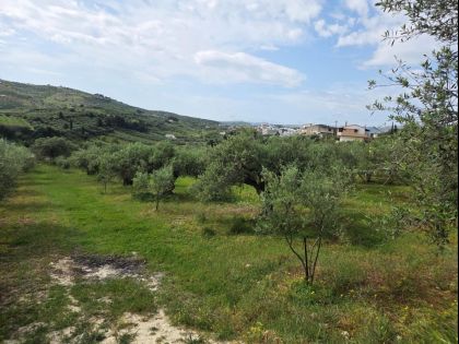 ΕΠΙΣΚΟΠΗ