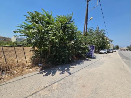 ΚΟΡΩΝΗ ΜΑΓΑΡΑ