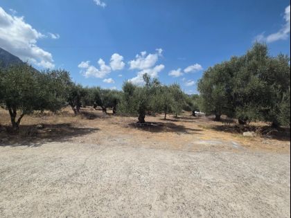 ΑΒΔΟΥ