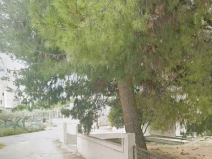 ΜΕΣΑΜΠΕΛΙΕΣ