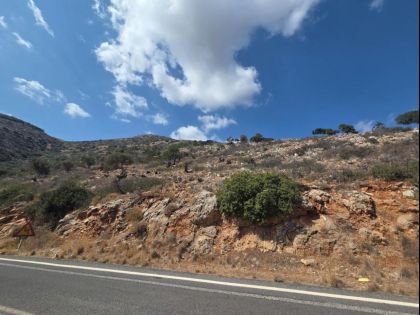 ΜΟΧΟΣ